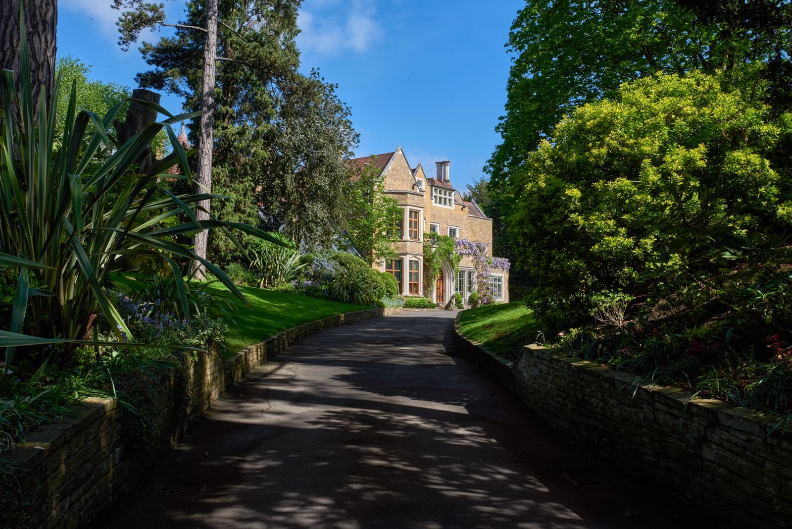 The drive up to the home through the trees