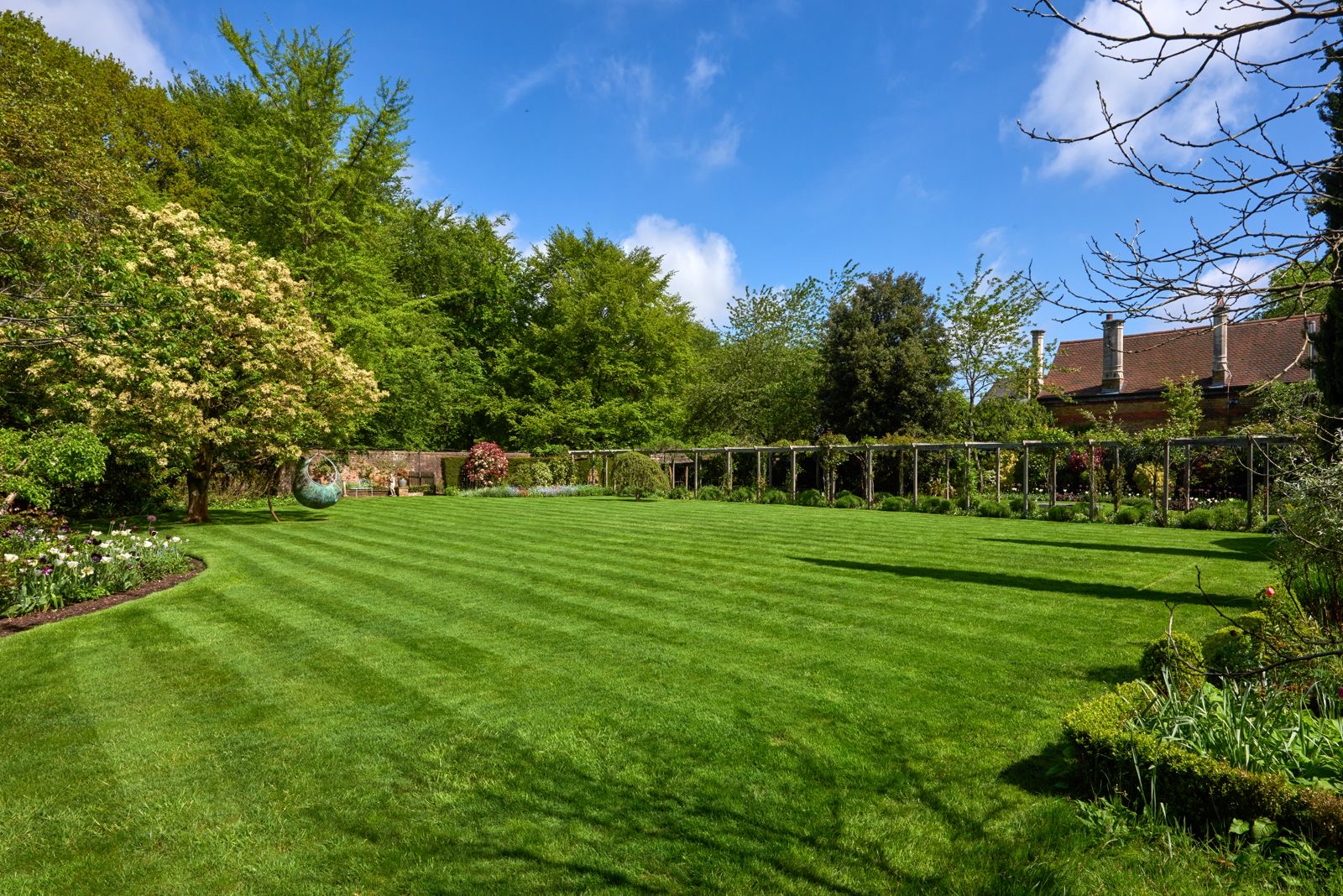 A wide lawn edged with tall trees under a blue sky